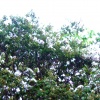dsc03185