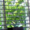 dsc00203