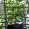 dsc00204