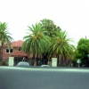 dsc00353