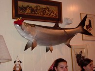 dsc00426 dsc00426