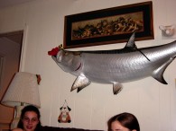 dsc00439 dsc00439