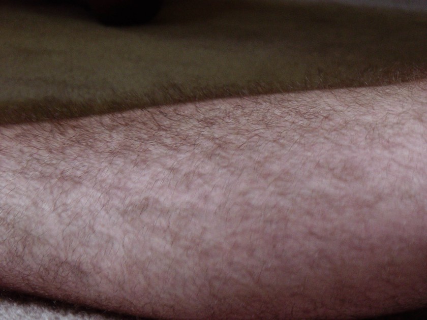 dsc00654