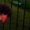 dsc00747