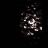 dsc00791