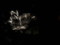 dsc00794 dsc00794