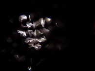 dsc00795 dsc00795