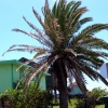 dsc00906