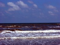 dsc00944 dsc00944