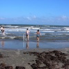 dsc00965