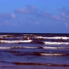dsc00967