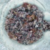 dsc01019