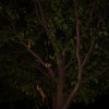 dsc01435