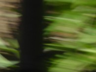 dsc02235 dsc02235