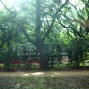 dsc02607