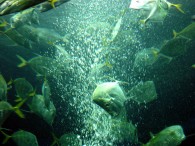 dsc02666