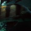 dsc02669
