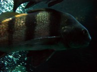 dsc02669 dsc02669