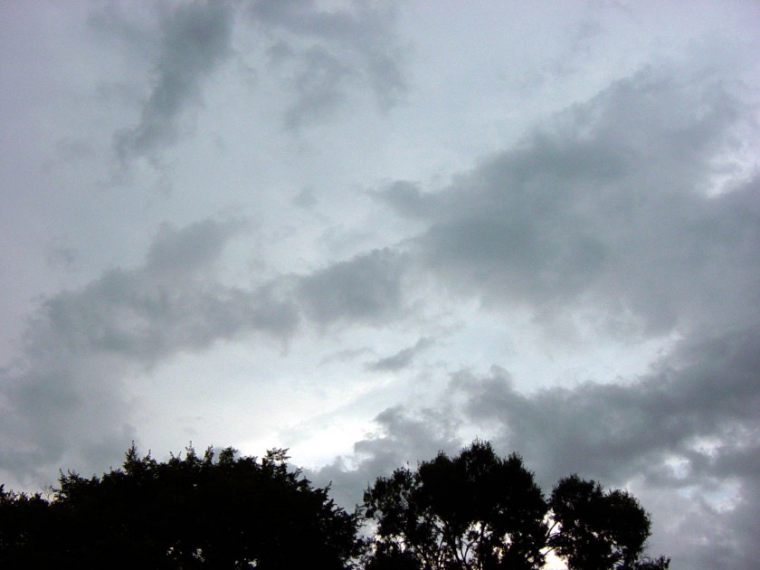 dsc02777
