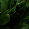 dsc02778