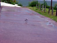 dsc02834 dsc02834