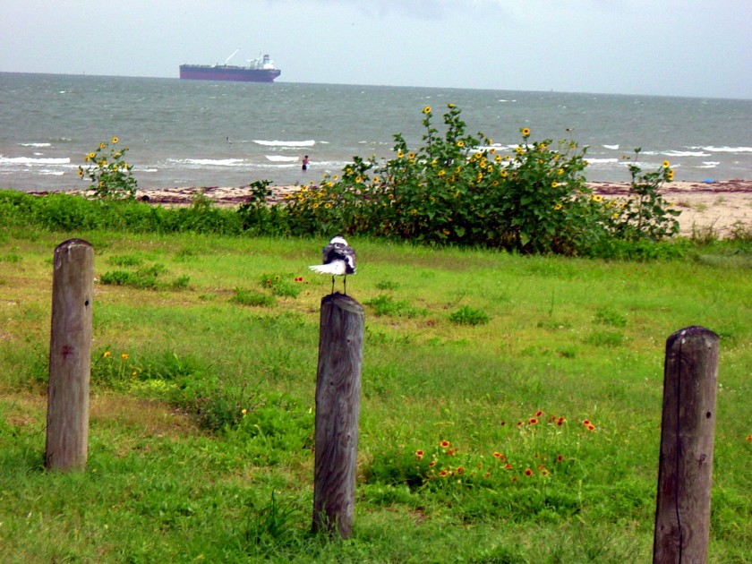 dsc02835