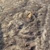 dsc00016