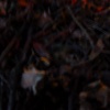 dsc00019
