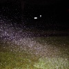 dsc00033