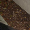 dsc03418