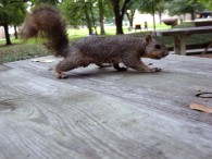 dsc00749