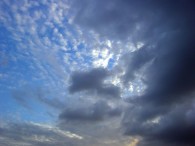 dsc00791
