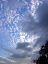 dsc00792