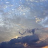 dsc00816