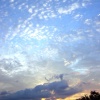 dsc00817