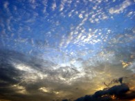 dsc00818
