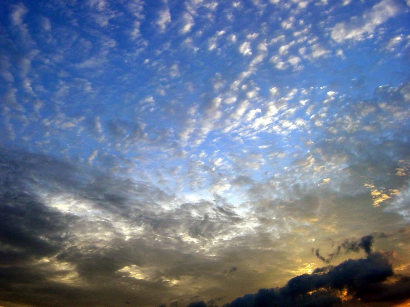 dsc00818