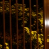dsc01268