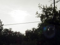 dsc01447