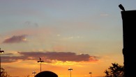 dsc01695 dsc01695