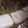 dsc01785