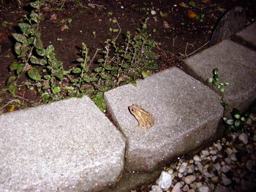 dsc01785