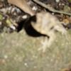 dsc01786