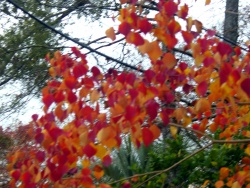dsc02648