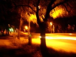 dsc02779