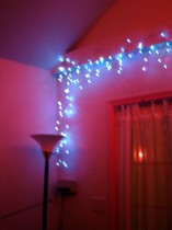 dsc03268