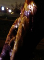 dsc03484