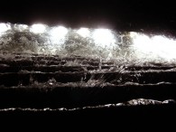 dsc03492