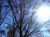 dsc03572 dsc03572