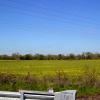 dsc04267